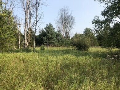 487 Lincoln Lake Ave SE, Lowell, MI 49331 - photo 3