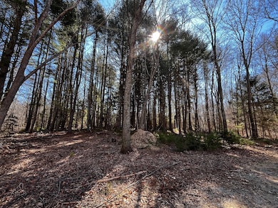 41-1 Whippoorwill Rd, Old Lyme, CT 06371 - photo 7