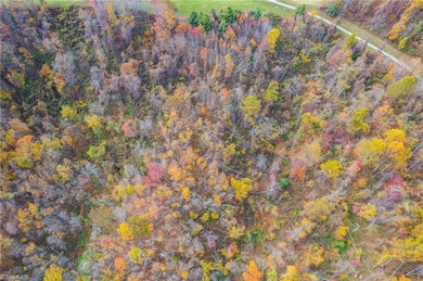 TBD 2 Mayito Ln, Mouth of Wilson, VA 24363 - photo 5