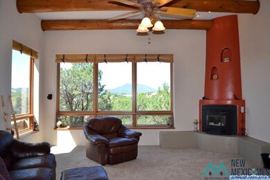 4528 N Shadow Mountain Rd, Silver City, NM 88061 - photo 6