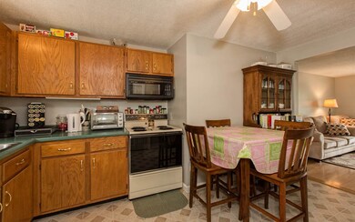 65 Ramsay St, Manchester, NH 03103 - photo 6