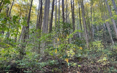 Additional View