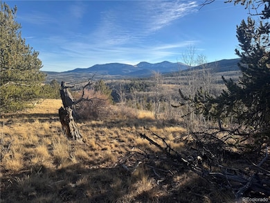 84 Pine Ridge Rd, Fairplay, CO 80440 - photo 7