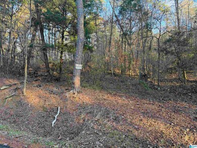 7595 McCombs Mill Rd, Pinson, AL 35126 - photo 6