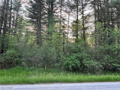 3549 Knowlton Rd, Roaming Shores, OH 44084 - photo 2