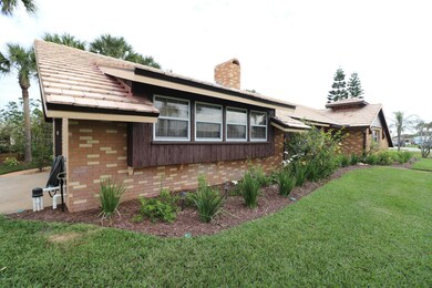 Ligustrum 6