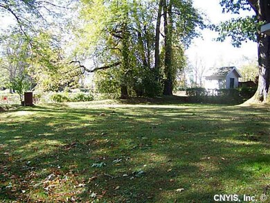 Backyard Surprisingly large back yard which border