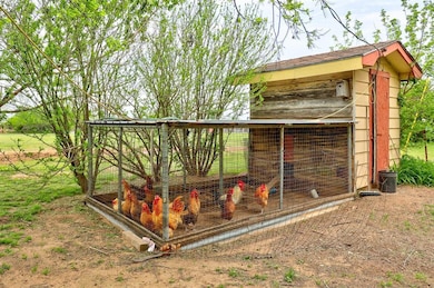 Chicken Coop