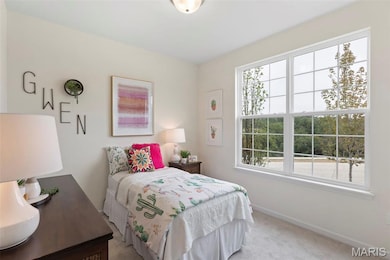 2 Aspen at Riverstone, Florissant, MO 63031 - photo 7