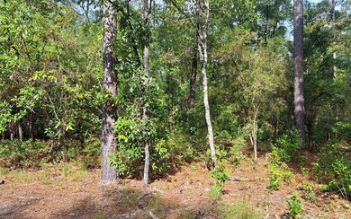 TBD 29th Place, Branford, FL 32008 - photo 4