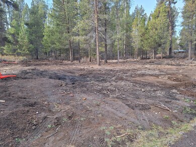 0 Brook Trout Ln unit Block 6 Lot 3, Chiloquin, OR 97624 - photo 4