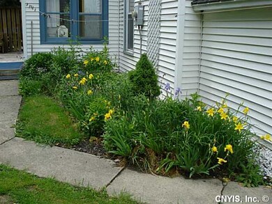Yard/Garden