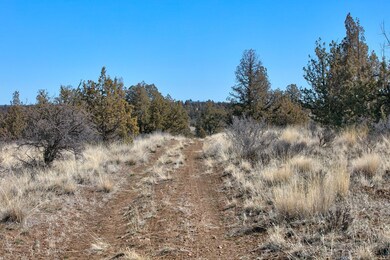 07 Longhorn Ridge Ln._Lot 69_009