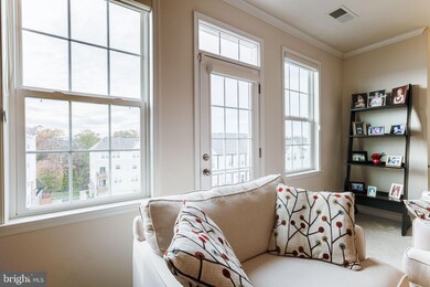 24677 Lynette Springs Terrace unit 302, Aldie, VA 20105 - photo 4