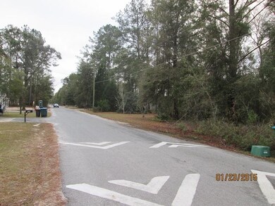 97 Tafflinger Rd, Crawfordville, FL 32327 - photo 5