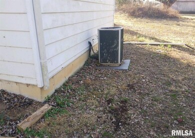 1017 Plum St, Harrisburg, IL 62946 - photo 3