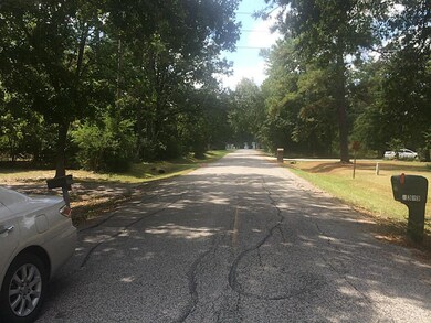 2327 Greenglade Ln, Spring, TX 77386 - photo 6