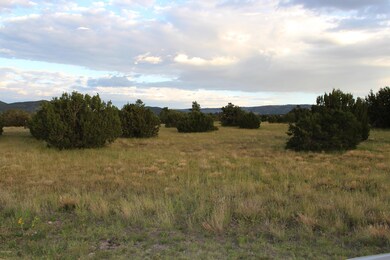 Elk Crest Lot 12 (3)