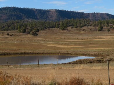 4086 County Road 700, Pagosa Springs, CO 81147 - photo 2