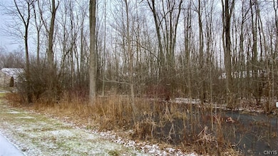 23 Jordan Way, Oswego, NY 13126 - photo 3