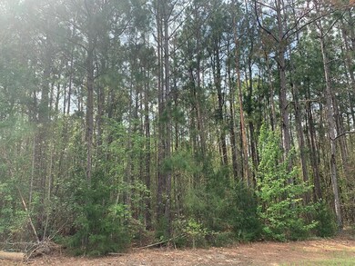 6000 James Rd, Albany, GA 31705 - photo 3