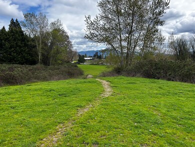 IMG_1152