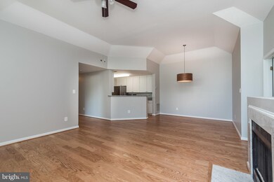 10738 Symphony Way, Columbia, MD 21044 - photo 5