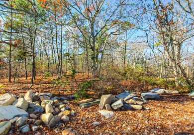 0 Cranberry Acres Way, Tisbury, MA 02568 - photo 4