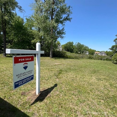 16126 Scenic View Dr, Linden, MI 48451 - photo 3