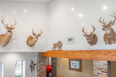 295 Posey Ln, Vaughan, MS 39179 - photo 3