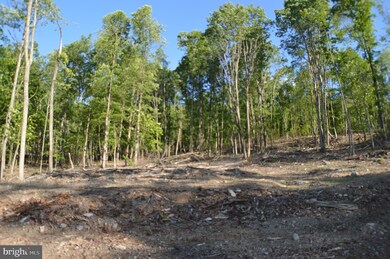 0 Deep Spring Rd unit WVGT102864, Dorcas, WV 26847 - photo 7