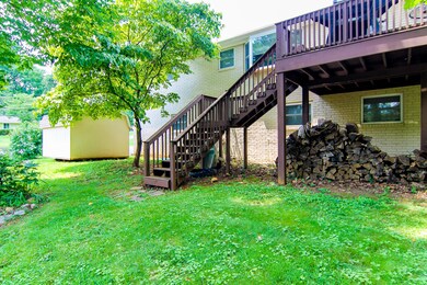 6 Back Yard