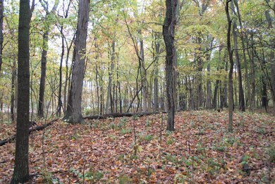 0 Dexter Chelsea Parcel H Rd unit 23086, Dexter, MI 48130 - photo 7