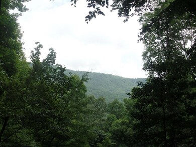 2717 Ruby Mine Rd, Franklin, NC 28734 - photo 4