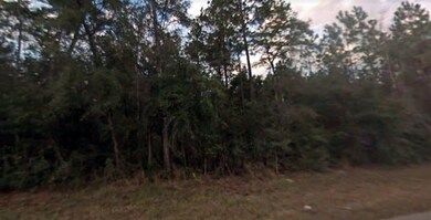 0 Crawfordville Hwy unit 289699, Crawfordville, FL 32327 - photo 3