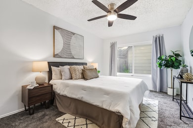 2963 Ash Field Dr, San Antonio, TX 78245 - photo 5