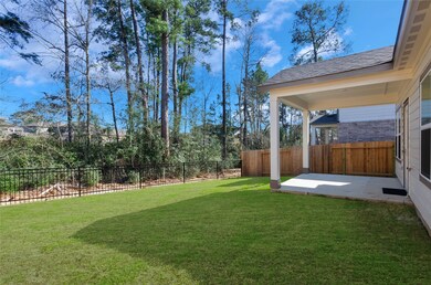 27 Courageous Side Way, Magnolia, TX 77354 - photo 4