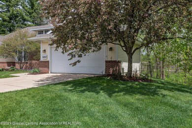 Wooded Backyard
