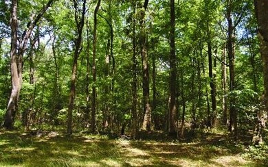 TBD Kansas Ct, Fort White, FL 32038 - photo 4