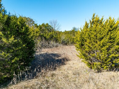 33040 Woodcrest & Stonedale Dr, Whitney, TX 76692 - photo 6