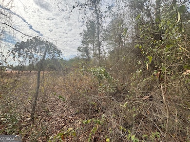 PARCEL A Wiggum Rd & St James Rd, Cochran, GA 31014 - photo 6