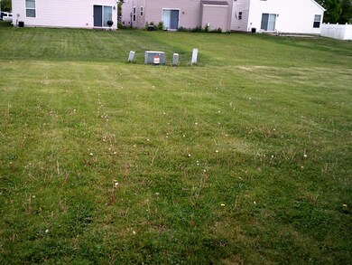 Large rear yard