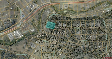 719 E Stollsteimer Rd, Pagosa Springs, CO 81147 - photo 6