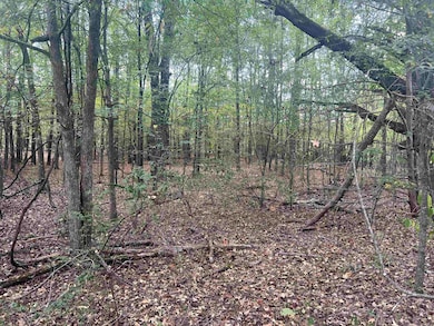 00 Middle Warren Rd, Pine Bluff, AR 71603 - photo 4