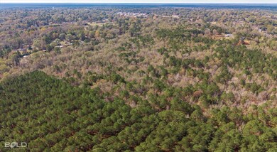 0 Camelia St, Vivian, LA 71082 - photo 6