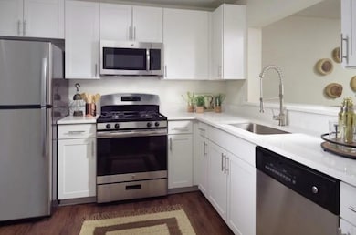 Kitchen with dark hardwood / wood-style floors, st