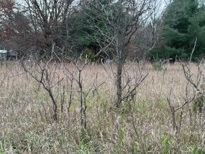 0 Mason Dr unit 25061407, Newaygo, MI 49337 - photo 2