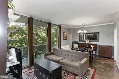 Cleveland Terrace Condominiums unit 206, Washington, DC 20008 - photo 6