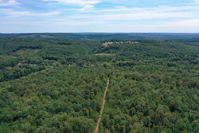 000 Highway 16 E, Clinton, AR 72031 - photo 6