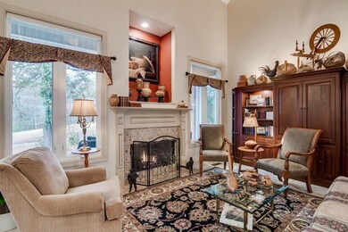 Gas Fireplace and View